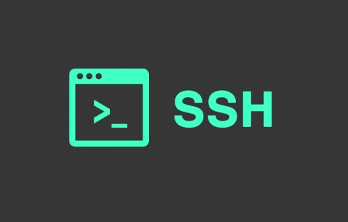 پروتکل SSH چیست و چه کاربردی در شبکه‌های کامپیوتری دارد؟