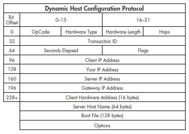 پروتکل DHCP چیست و چه کاربردی در شبکه‌های کامپیوتری دارد؟