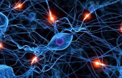 شبکه عصبی مصنوعی؛ معرفی و چگونگی پیدایش شبکه‌های پیچیده‌ی عصبی