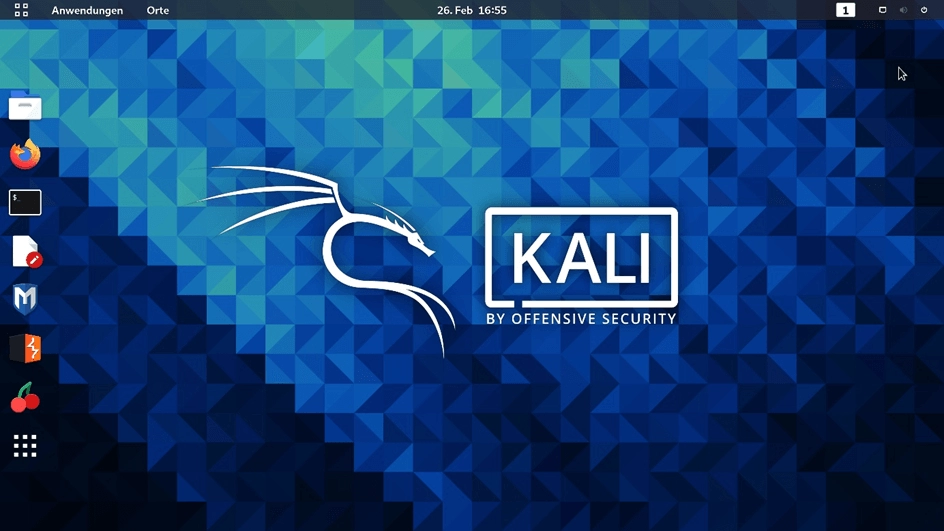 Kali Linux'un versiyonları nelerdir?