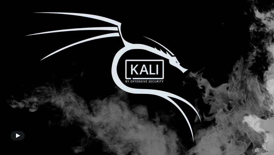 Kali Linux versiyonları arasındaki farklar; Sade dilde farklı versiyonlar